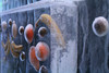 Obst im Eisblock gefroren 2